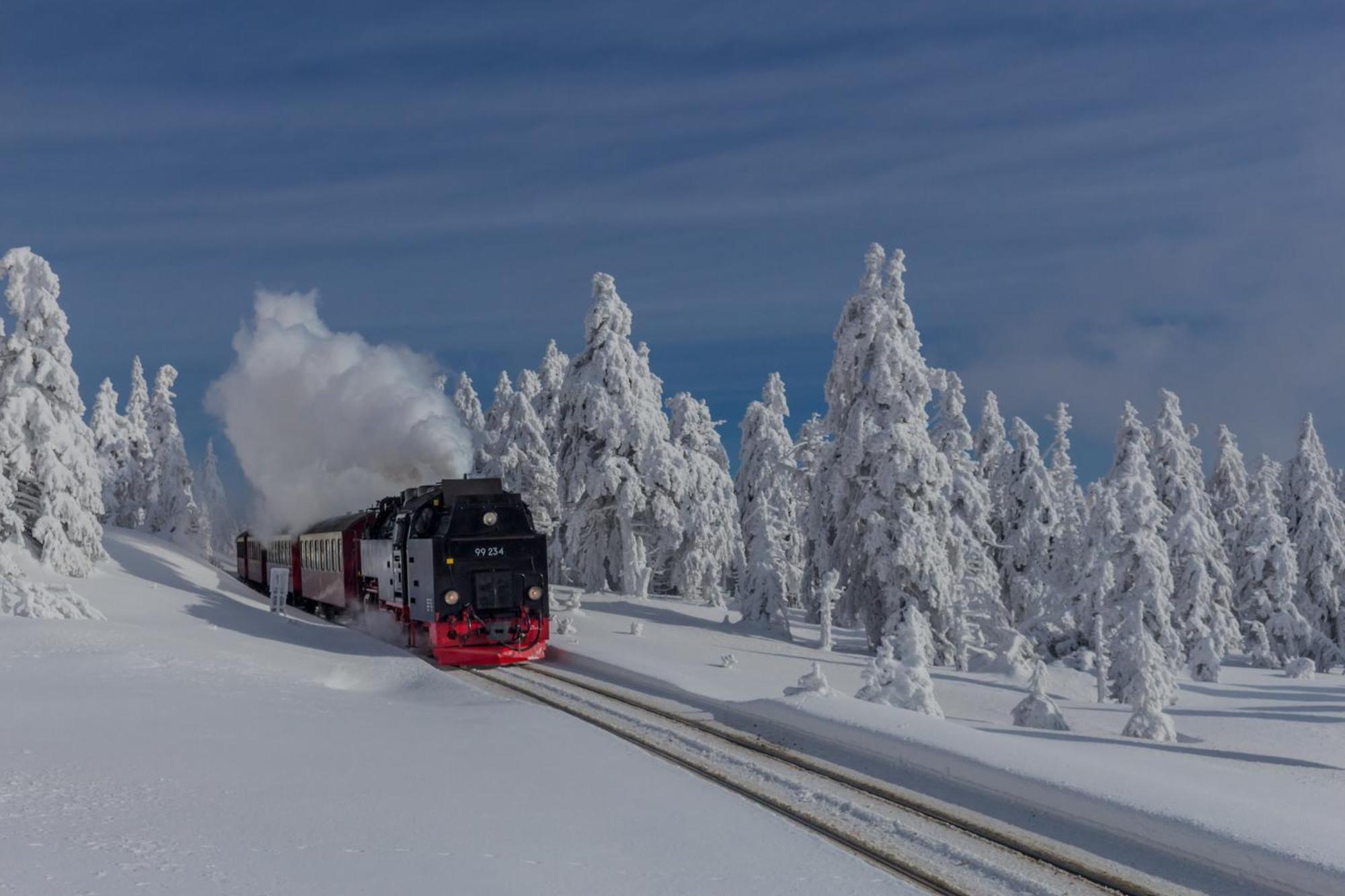 Fewo Schloesschen #Innenstadt#Garten#Ruhige Lage Von Harztraveler Wernigerode Eksteriør bilde